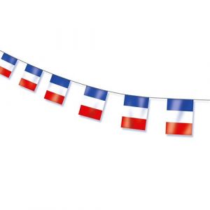 Ruedelafete Guirlande 10 pavillons plastique drapeau france 5m - ptitclown 28100