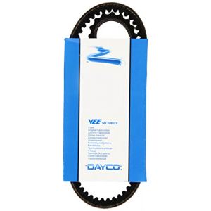 Dayco 10A0710C Courroie Trapézoïdale