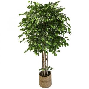 Ficus artificiel avec troncs naturels, fabriqué avec les meilleurs matériaux, idéal pour la décoration intérieure (190 cm)