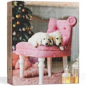 BOXILAND Calendrier de l'Avent pour Chiens 2025 [AVEC 24 FRIANDISES POUR CHIENS] – Calendrier de Noël Cadeau pour Chien – Idée Cadeau pour Chien