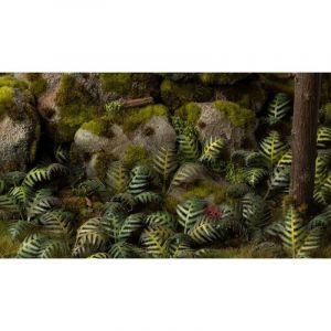 Touffes Gamers Grass Laser Plants : Bracken