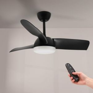 Iluminashop Ventilateur de Plafond avec Lumière LED et Contrôle Moteur DC Noir 24W Vitesse Réglable