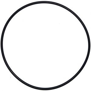 Aqualux Joint torique de 200 mm de diam&egrave;tre pour d&ocirc;me de filtre Calpas ancien mod&egrave;le (d.195mm)