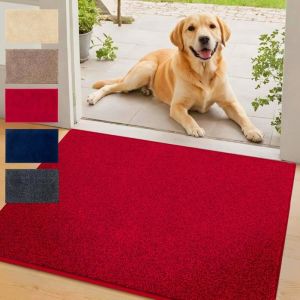 Image de Tapis d'entrée absorbant Nasa Rouge 80 x 120 cm