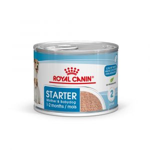 Royal Canin Starter Mousse Mother & Babydog - 12 x 195 g