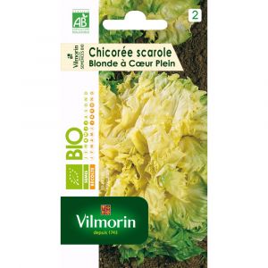 Image de Vilmorin Sachet de graines de Chicorée scarole blonde à cœur plein Bio