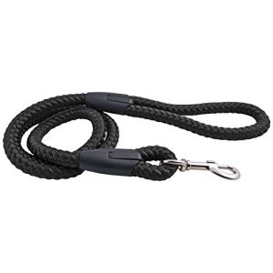 Chapuis sellerie Laisse pour Chien Corde Polypropyl&egrave;ne Noir, Diam&egrave;tre 10 mm, Longueur 120 cm, Taille M