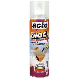 Image de Acto Choc aerosol spécial infestations 150m2 - Categorie fantome