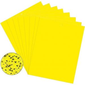 Piège collant pour nuisibles Flycatcher 20-pack Jaune