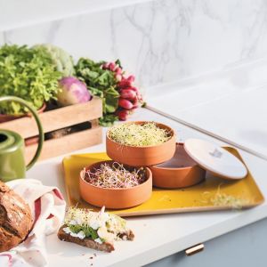 Nature & Découvertes Germoir à graines en terre cuite