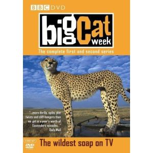 Coffret Big Cat Week - Saisons 1 et 2