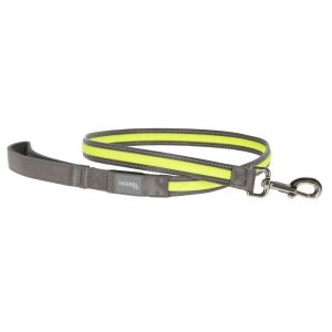 Kerbl Laisse pour chien lumineuse Light&Reflex