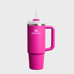 Stanley The Quencher H2.O FlowState Tumbler | 0,9L Unisex Divers pourpre Taille ONE SIZE Accessoires - Couleur pourpre - Taille ONE SIZE