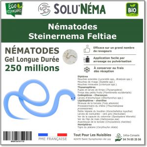 Solunéma - SOLUNEMA - Nématodes Steinernema Feltiae - 250 Millions