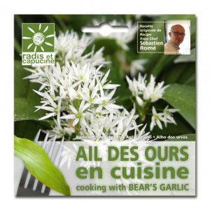 Radis et capucine Je fais pousser de l'ail des ours pour la cuisine