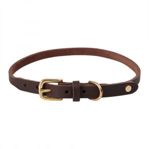 Oyoy living Zoo - Robin Dog Collar Extra Large - Choko (Z60049)