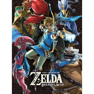 Affiche Pyramid - The Legend of Zelda: Breath Of The Wild - Champions - 30x40cm