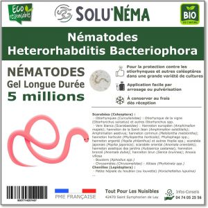 Solunéma - SOLUNEMA - Nématodes Heterorhabditis Bacteriophora - 5 Millions