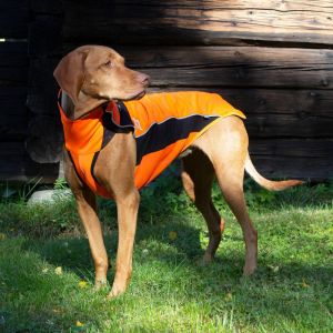 Back On Track Pull pour chien grande visibilité sans cintre Eddie