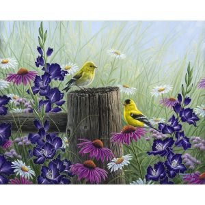 Figured'Art Peinture par Numéro Adulte Couple de chardonneret - Activité Manuelle Kit de Loisir Créatif DIY Numéro d'Art Complet - 40x50cm sans châssis en bois
