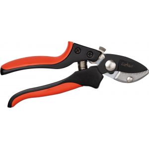 Cap Vert Secateur coupe franche 20 20