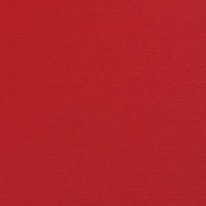 Bazzill basics paper Papier Bazzill Toile 30,5 x 30,5 cm - 216 g/m² Vert Aloe Vera