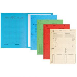 Exacompta R&eacute;f. 445118E - Carton de 5 paquets de 25 dossiers de proc&eacute;dure - en carte lustr&eacute;e 265g/m2 - dimensions 25 x 32 cm pour documents au format A4 - couleurs assorties