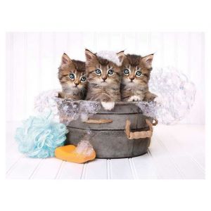 Image de Clementoni OTTO Puzzle 3 Chatons dans Une bassine - 500 Pieces - Collection Animaux - Chat