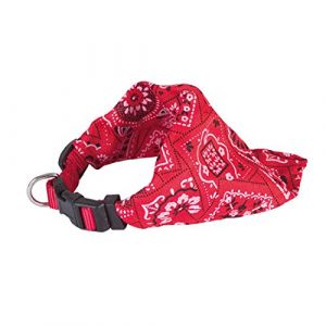 Image de Chadog Collier Bandana Rouge 10mm x 22-37cm