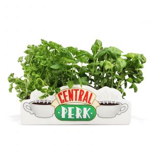 Half Moon Bay FRIENDS - Central Perk - Pot de fleurs / Vase de table
