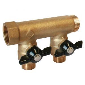 Image de BT SELECTION Collecteur sanitaire M-F 3/4+mini-vannes monobloc 2 d&eacute;parts 1/2"