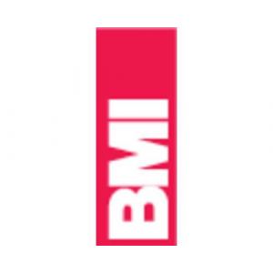 BMI 696050PM 696050PM Niveau &agrave; bulle magn&eacute;tique avec aimant 50 cm 0.5 mm/m