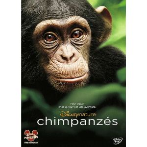 Image de Chimpanzés