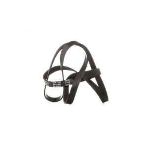 RIDEX Courroie Poly-V AUDI,BMW,OPEL 305P0142 06C903137E,96309968,96309968 1072317,98MF6C301CC,MN183866,25185148,55577367,96628792,9091602432,25185148