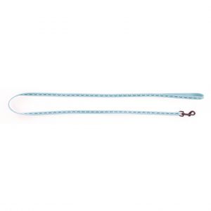Martin Sellier Laisse pour chien nylon Dodo