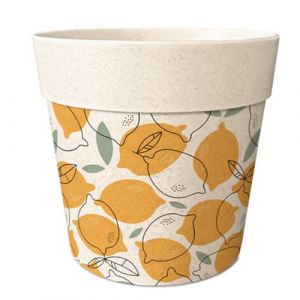 Cadoons Cache Pot de Fleurs en Bambou Motif citrons - Dimensions : Hauteur 8.5 cm - Diam&egrave;tre 9.5 cm