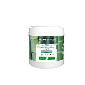 Vert Anis-Peinture naturelle écologique intérieur extérieur aspect mat Natura - 2.5L