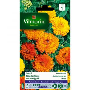 Vilmorin Souci double vari&eacute; jaune