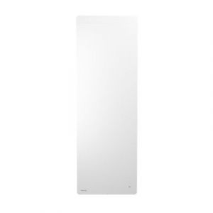 Noirot Radiateur à Inertie Fonte WALTER Vertical 2000W