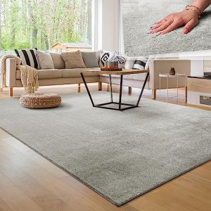 Paco Home - Tapis de salon Unicolore Lavable Pile courte et douce 160x220 cm, Argent