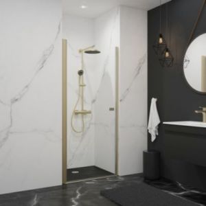 Schulte-ufer Porte de douche pivotante en niche, l.70 x H.192 cm, verre transparent, profilé or, décor Liane NewStyle