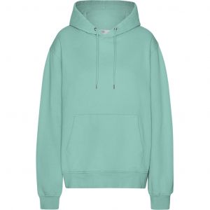 Sweatshirt &agrave; capuche Colorful Standard Classic Organic Seafoam Green