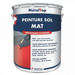 Peinture Sol Mat - Metaltop - Brun sépia - RAL 8014 - Pot 1L