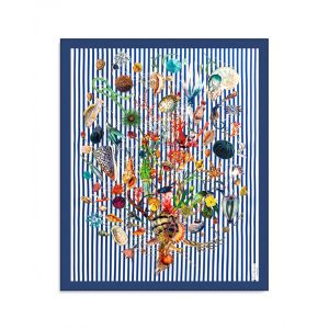 Carthusia Pareo de algod&oacute;n A'mmare con borde azul y parte inferior a rayas