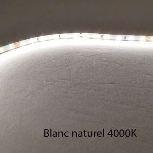 Leclubled - Ruban led Blanc 60 LED/m 4,8W/m IP68 5m - Blanc Naturel 4000K