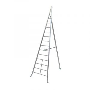 Echelle fruitière AG450