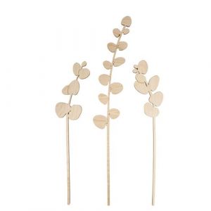Rayher Tige d'eucalyptus en bois 42 cm