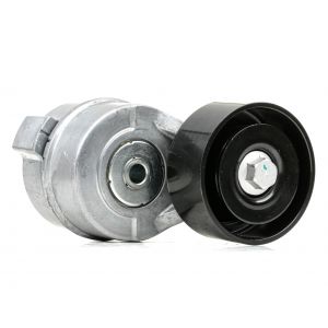 RIDEX Poulie Tendeur HYUNDAI,KIA 310T0234 252814A000,252814A010,252814A000 Poulie-tendeur, courroie trapézoïdale à nervures 252814A010