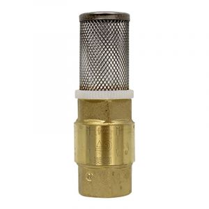 Arcanaute Clapet anti-retour Femelle-Femelle 3/4'' (20/27) + Filtre Inox (crépine) 3/4'' (20/27) - Sans acs