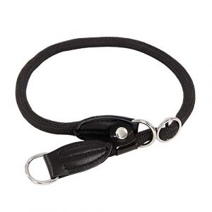 Lionto Hundehalsband - Retrieverhalsband